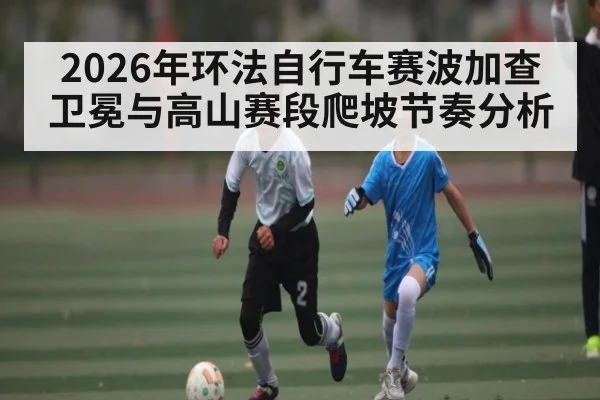2026年环法自行车赛波加查卫冕与高山赛段爬坡节奏分析
